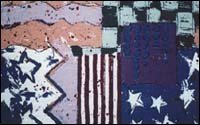 USA Federal (610)